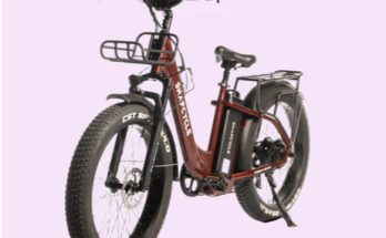 Exploring Production network Difficulties for Step-Thru E-bikes in a Worldwide Market