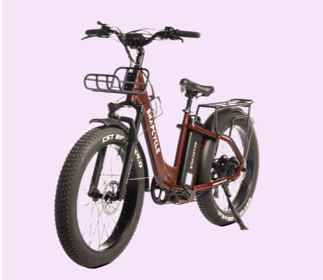 Exploring Production network Difficulties for Step-Thru E-bikes in a Worldwide Market