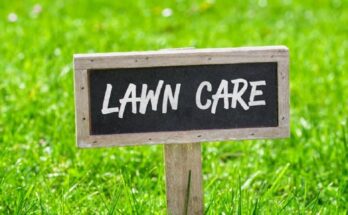 Why Lawn Care Is More Than Just Aesthetic