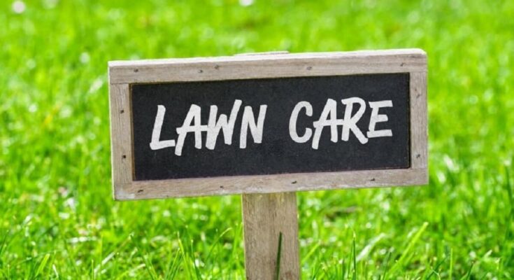 Why Lawn Care Is More Than Just Aesthetic